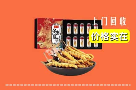 延安市甘泉回收冬虫夏草